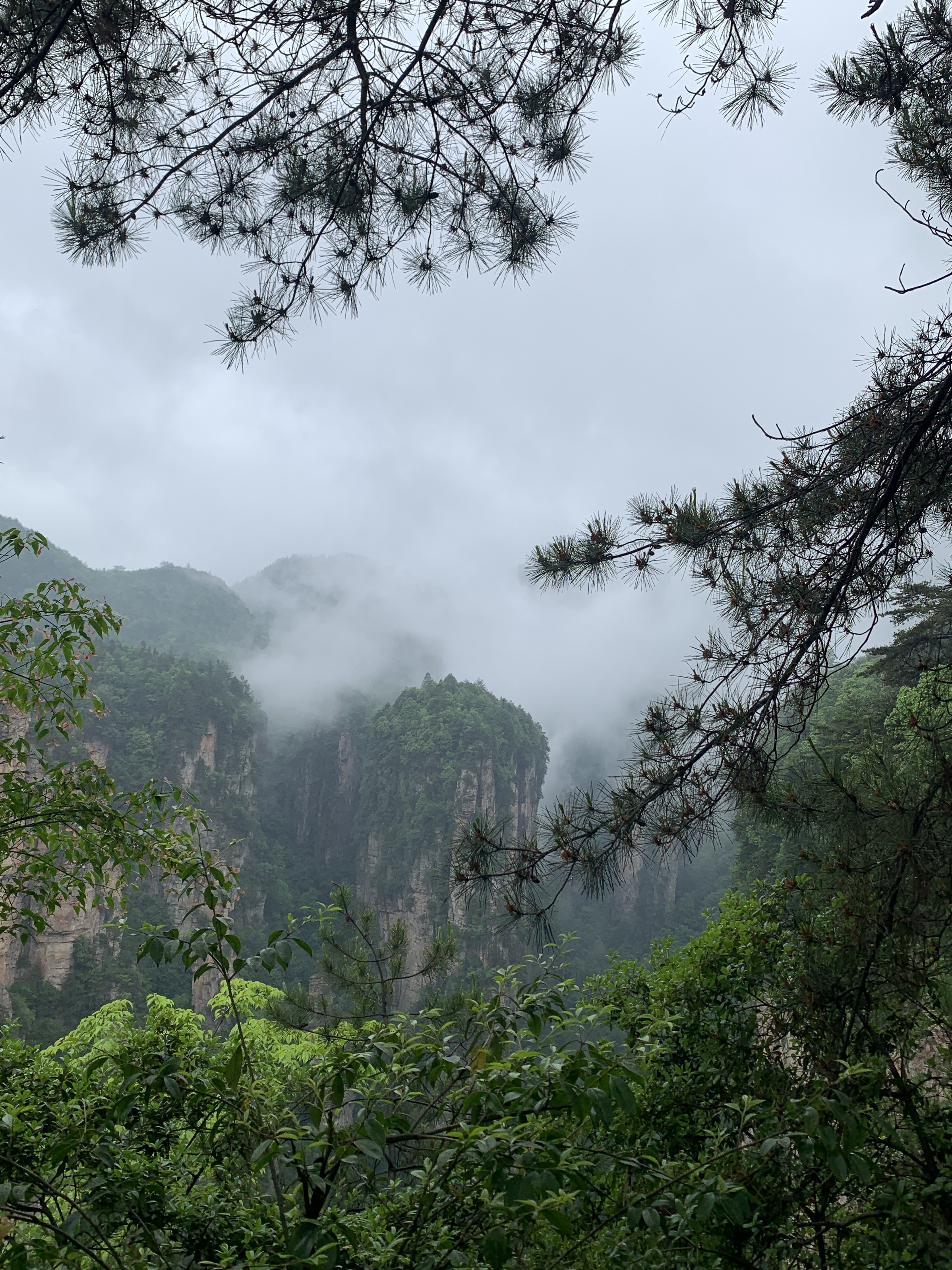 A photo taken by Nick in Zhangjiajie